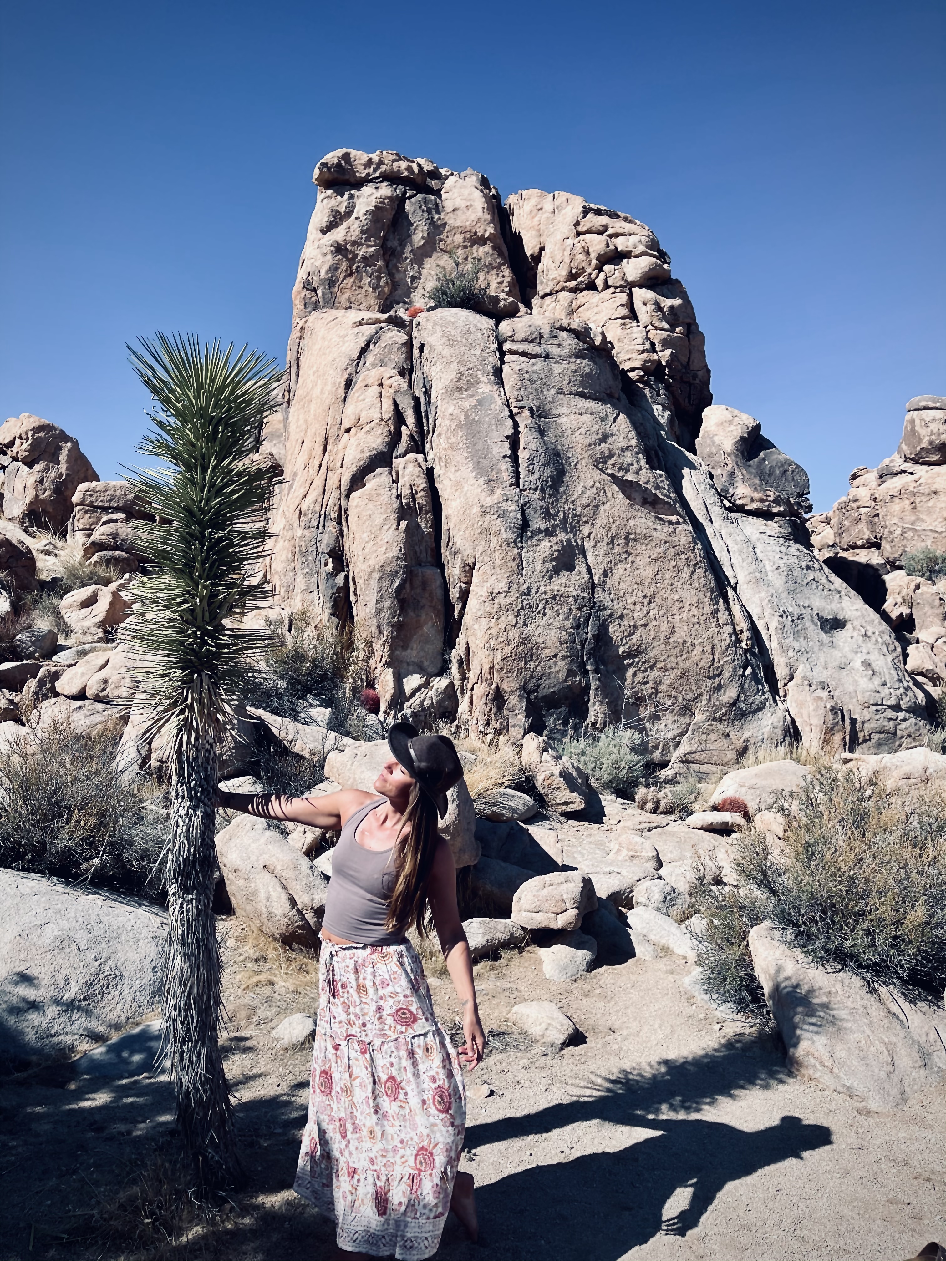 Palm Desert Paradise: Joshua Tree, White Water Preserve & Botanical Gardens.